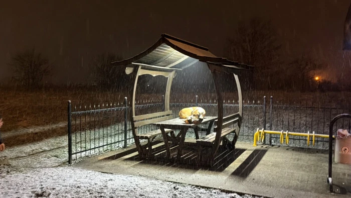 İHA Muhabiri Sokak Canlılarına Mama Verdi D&uuml;zce