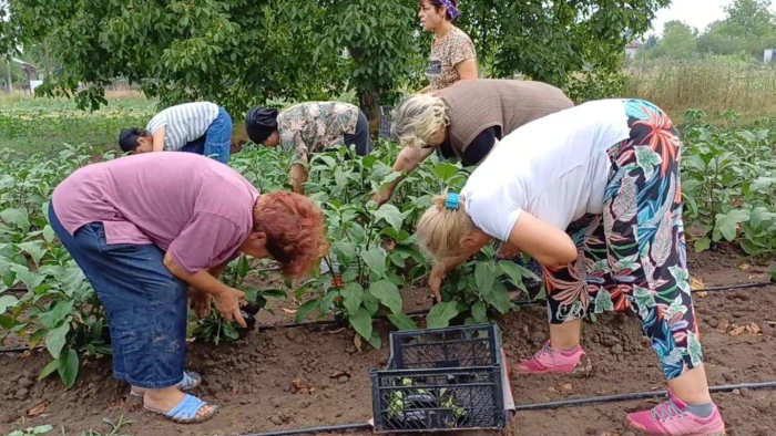 Yanlış &ccedil;alışma hastanelik ediyor