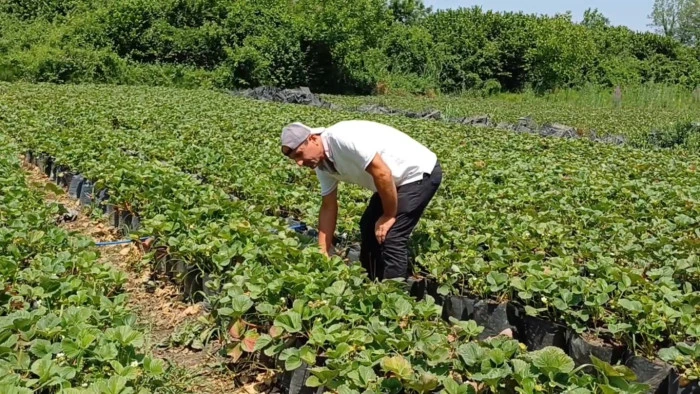 Yanlış &ccedil;alışma hastanelik ediyor