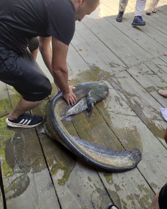 Düzce Melen Çayı'nda Haberlere konu oldu, cezai işlem uygulandı