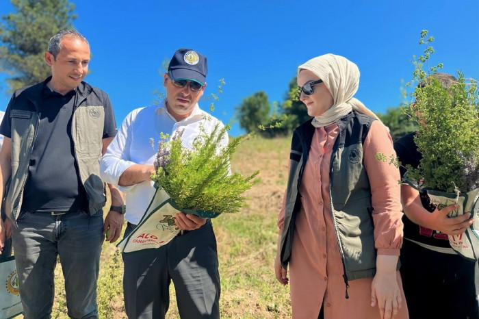 Hasat dönemi başladı.