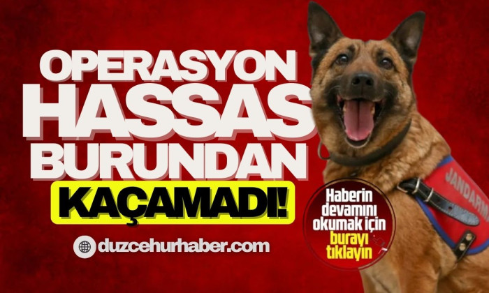 Düzce’de tırda bin 69 paket kaçak sigara ele geçirildi