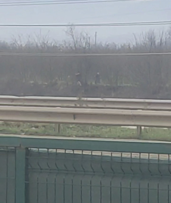 Düzce’de 23 kaçak göçmen yakalandı! 