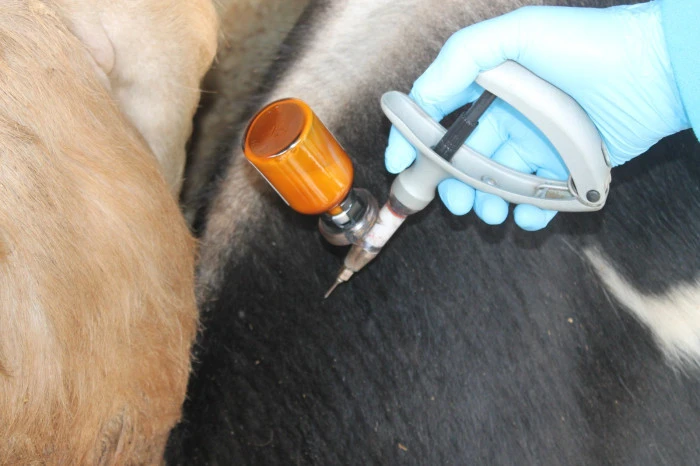 Düzce'de takip altına alındı