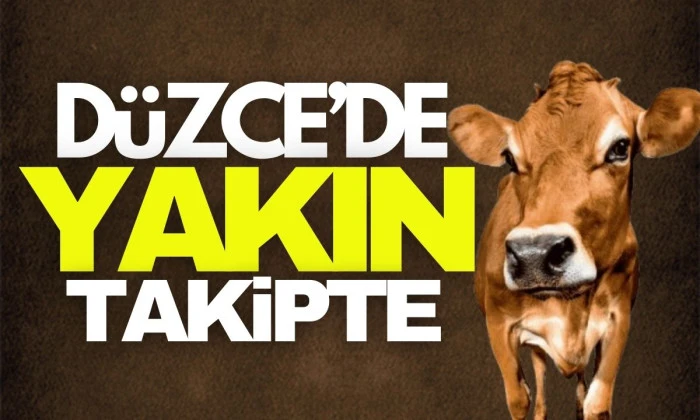 Düzce'de takip altına alındı