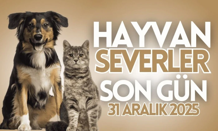 Son tarih 31 Aralık 2025