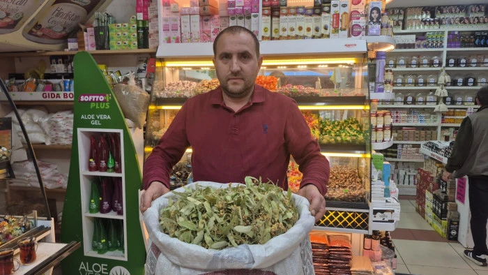 Bu sene insanlar bol bol ıhlamur kaynatıp içebilirler.