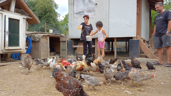 Yıllardır Anemiydi Köy hayatı ile iyileşti