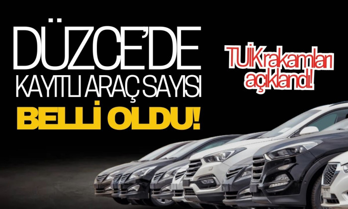 Düzce'de kayıtlı araç sayısı belli oldu! Kasım 2024