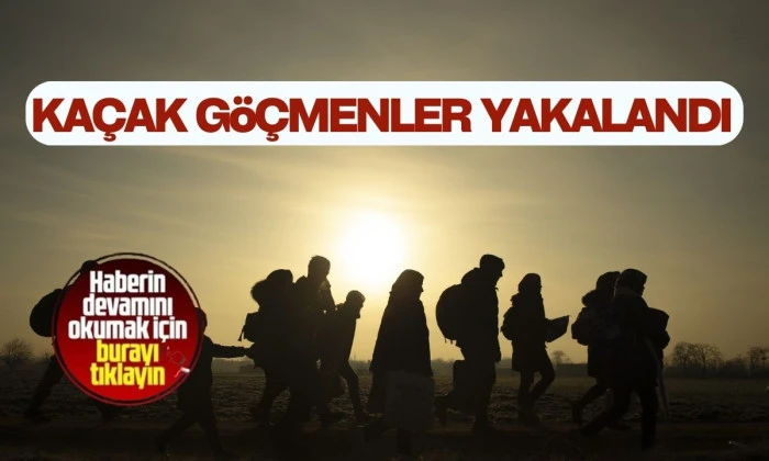 Düzensiz göçmen yakalandı! 