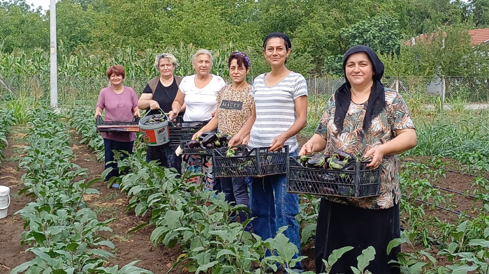Kadınlar kooperatif kurdu çiftçi oldu!
