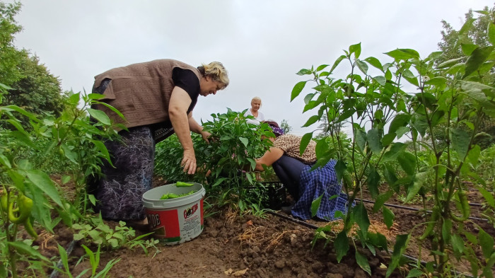 Kadınlar kooperatif kurdu çiftçi oldu!