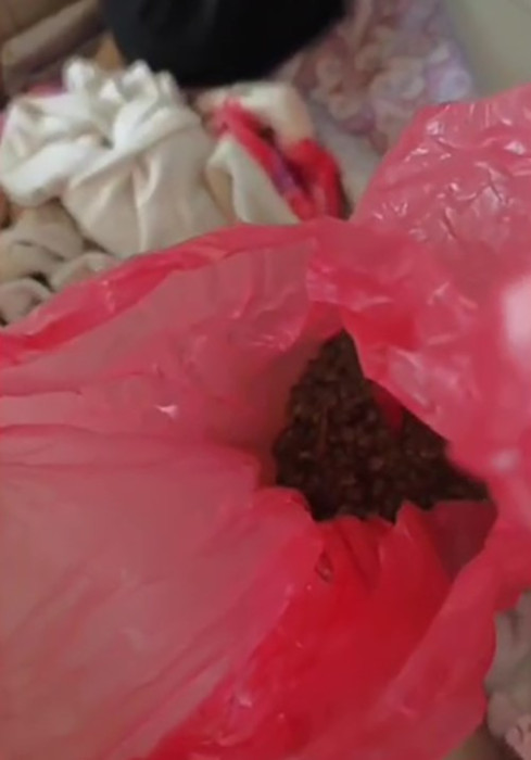 Polis koçbaşı ile kapıyı kırıp girdiği evde narkotik köpeği ile arama yaptı