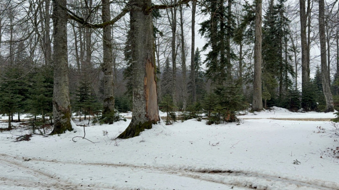 Düzce'de kar yağışı etkisini gösteriyor.