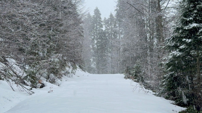 Düzce'de kar yağışı etkisini gösteriyor.