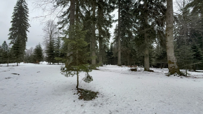 Düzce'de kar yağışı etkisini gösteriyor.