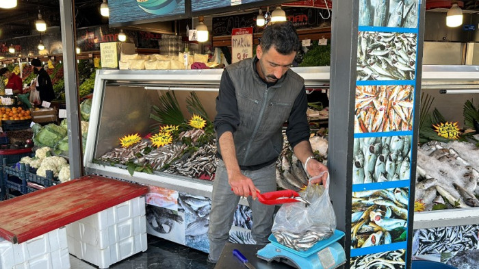 Karadeniz’de bu yıl bollukla hamsi balığı çıkıyor