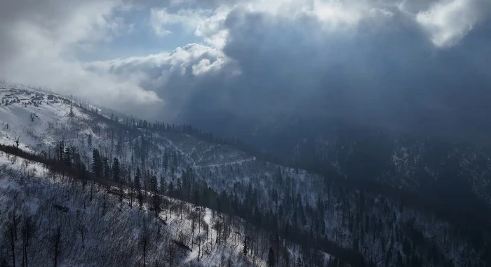 1800 Rakımda G&ouml;rsel Ş&ouml;len: Kard&uuml;z Yaylası