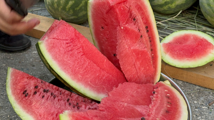 Düzce'de yerli karpuz tezgaha indi