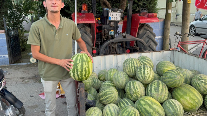 Düzce'de yerli karpuz tezgaha indi