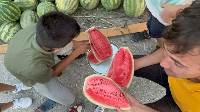 Düzce'de yerli karpuz tezgaha indi