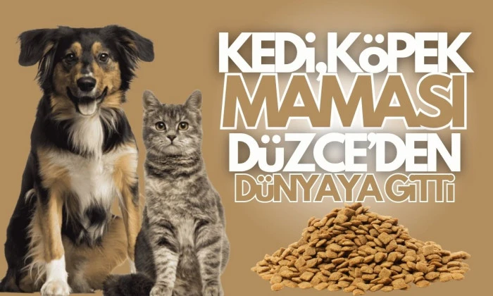 Düzce'den 420,3 ton kedi köpek maması ihraç edildi