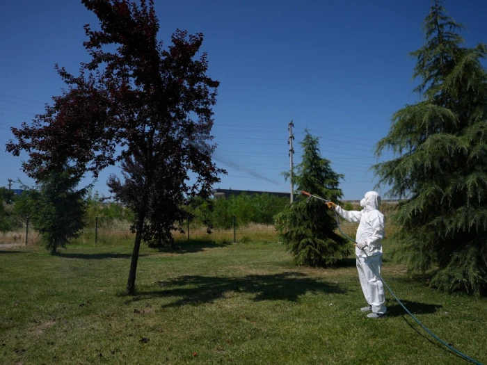 Park, bahçe ve kamuya açık alanlar markajda
