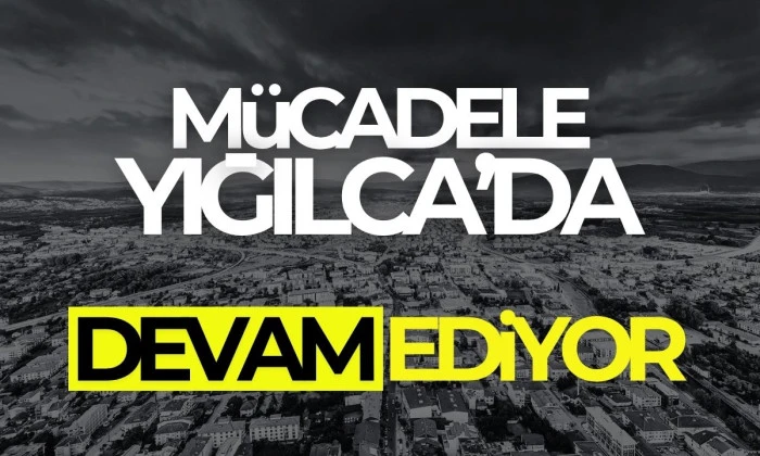 2025'de Yığılca'da kestane galineye karşı biyolojik mücadele sürüyor