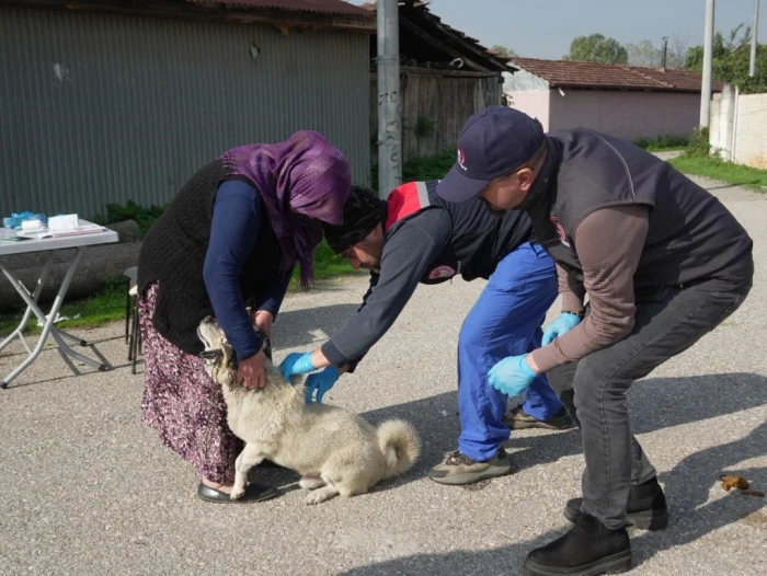 D&uuml;zce'de &lsquo;Yerinde sahiplendirme&rsquo; uygulamasıyla pop&uuml;lasyon kontrol altında