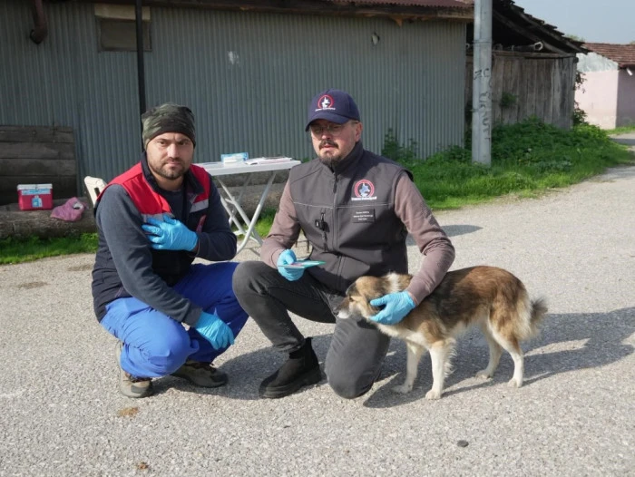 D&uuml;zce'de &lsquo;Yerinde sahiplendirme&rsquo; uygulamasıyla pop&uuml;lasyon kontrol altında