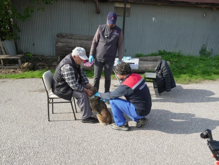 D&uuml;zce'de &lsquo;Yerinde sahiplendirme&rsquo; uygulamasıyla pop&uuml;lasyon kontrol altında