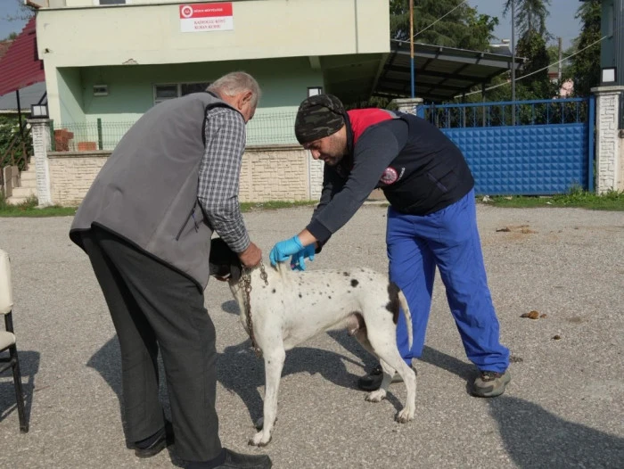 D&uuml;zce'de &lsquo;Yerinde sahiplendirme&rsquo; uygulamasıyla pop&uuml;lasyon kontrol altında