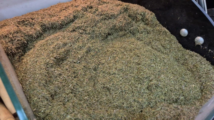 Sağlıklı kilo vermek için güvenilir çay tarifleri