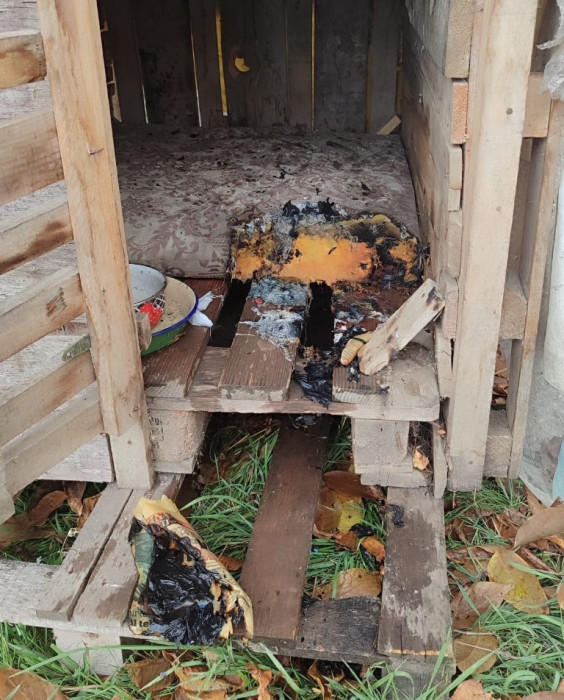 Yaşlı adam Köpek kulübelerini ateşe verdi! Bıçak çekti..