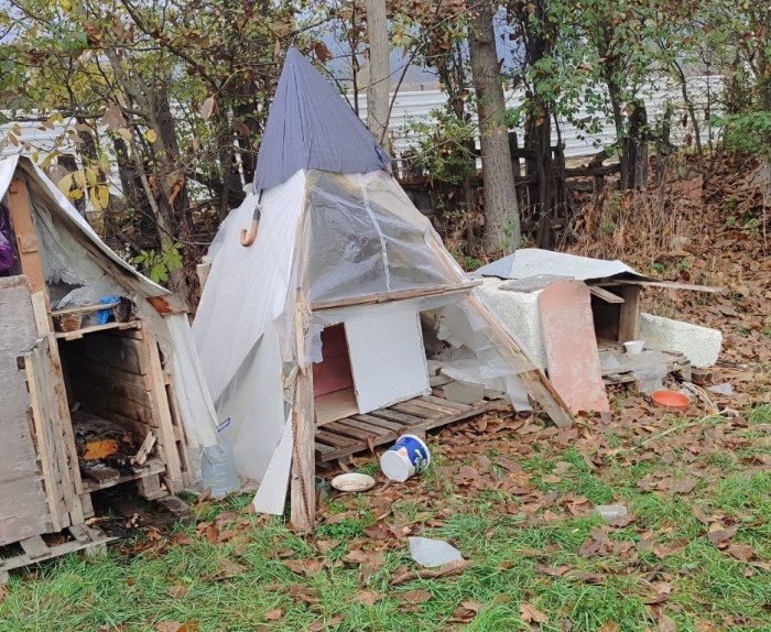 Yaşlı adam Köpek kulübelerini ateşe verdi! Bıçak çekti..