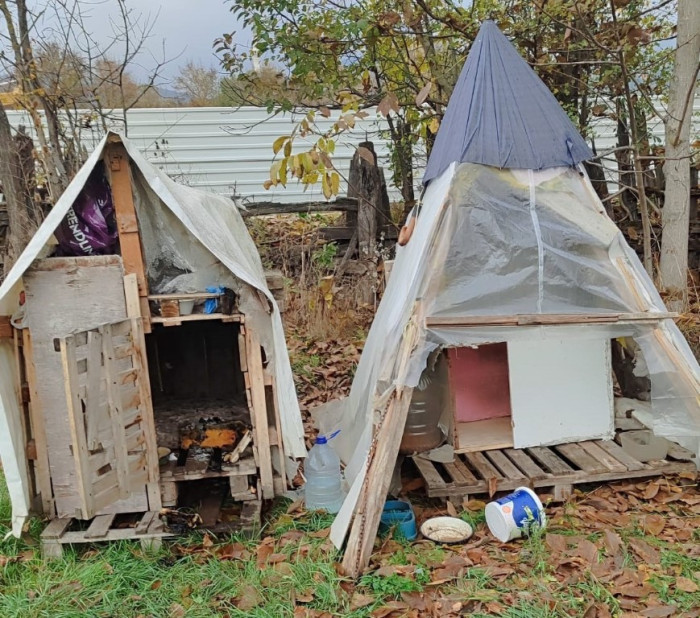 Yaşlı adam Köpek kulübelerini ateşe verdi! Bıçak çekti..