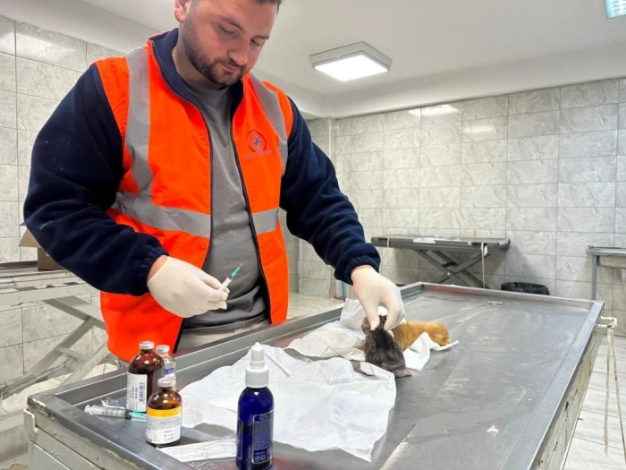 &Ouml;lmek &Uuml;zereydiler! D&uuml;zce&rsquo;de İtfaiye Yetişti