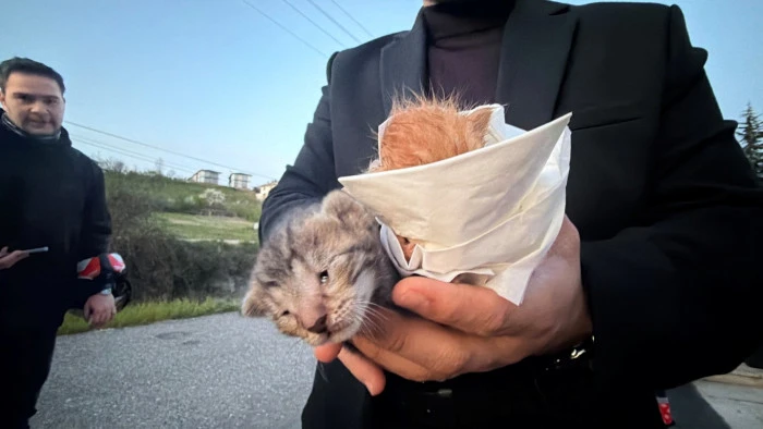 &Ouml;lmek &Uuml;zereydiler! D&uuml;zce&rsquo;de İtfaiye Yetişti