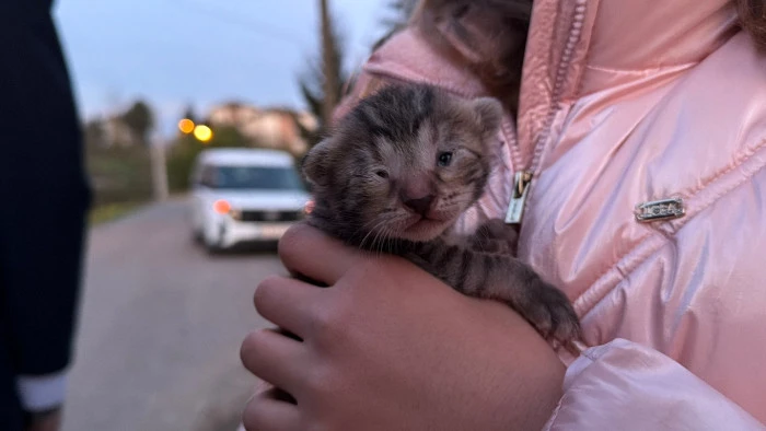 &Ouml;lmek &Uuml;zereydiler! D&uuml;zce&rsquo;de İtfaiye Yetişti