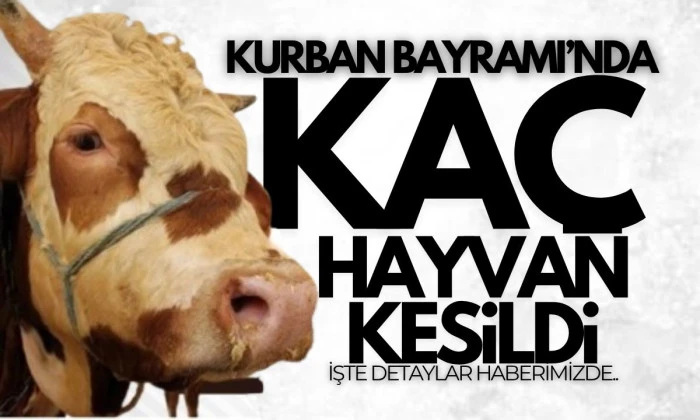 Kurban Bayramı’nda kesilen hayvan sayısı açıklandı