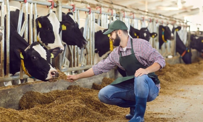 Kurban Hizmetlerinin Uygulanmasına Dair Tebliğ, Resmi Gazete'de