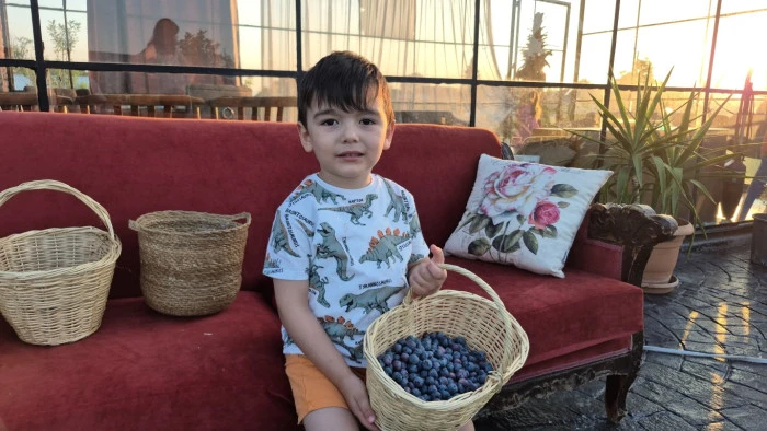Kendi Yaban Mersini Bahçesini Kurmak İsteyenler için Tavsiyeler
