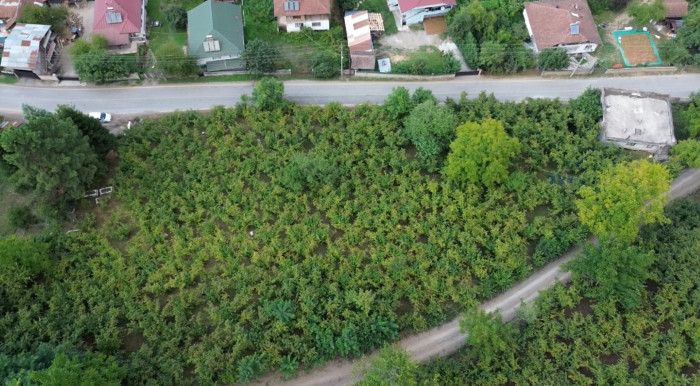 O Ünlü isim fındık topladı!