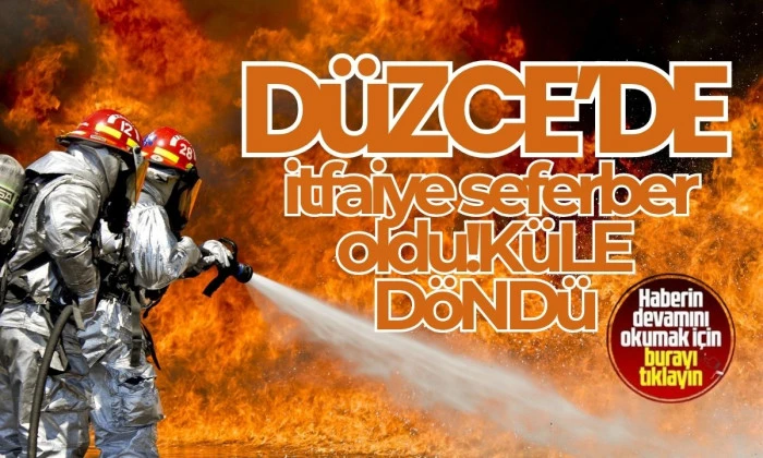 20 dönüm arazi yandı, Düzce'de çıkan ucuz itfaiye ve köylüler sayesinde söndürüldü