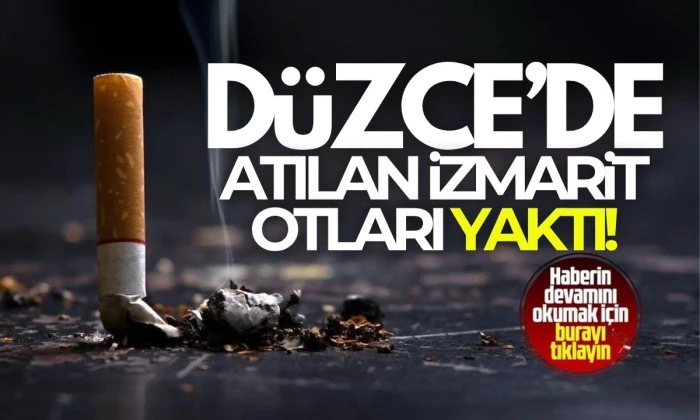 Otların yanması büyük tehlike olmadan kontrol” adı altında alındı