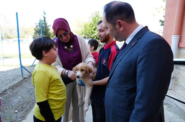 Özel eğitim okuluna can dost yavru köpek