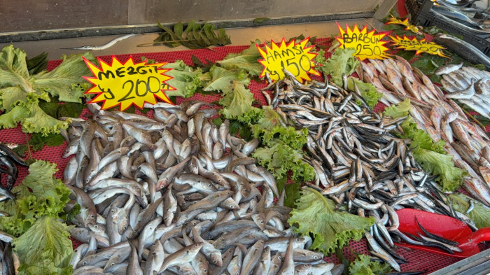 Buzluğa koyma zamanına geldi! Sezonu sona eriyor