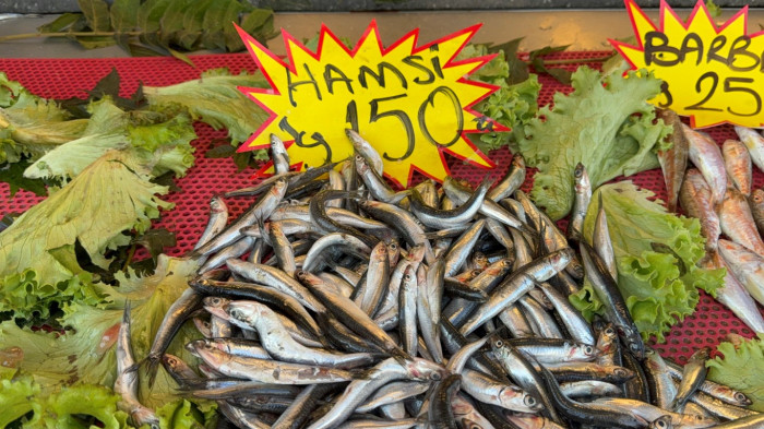 Buzluğa koyma zamanına geldi! Sezonu sona eriyor