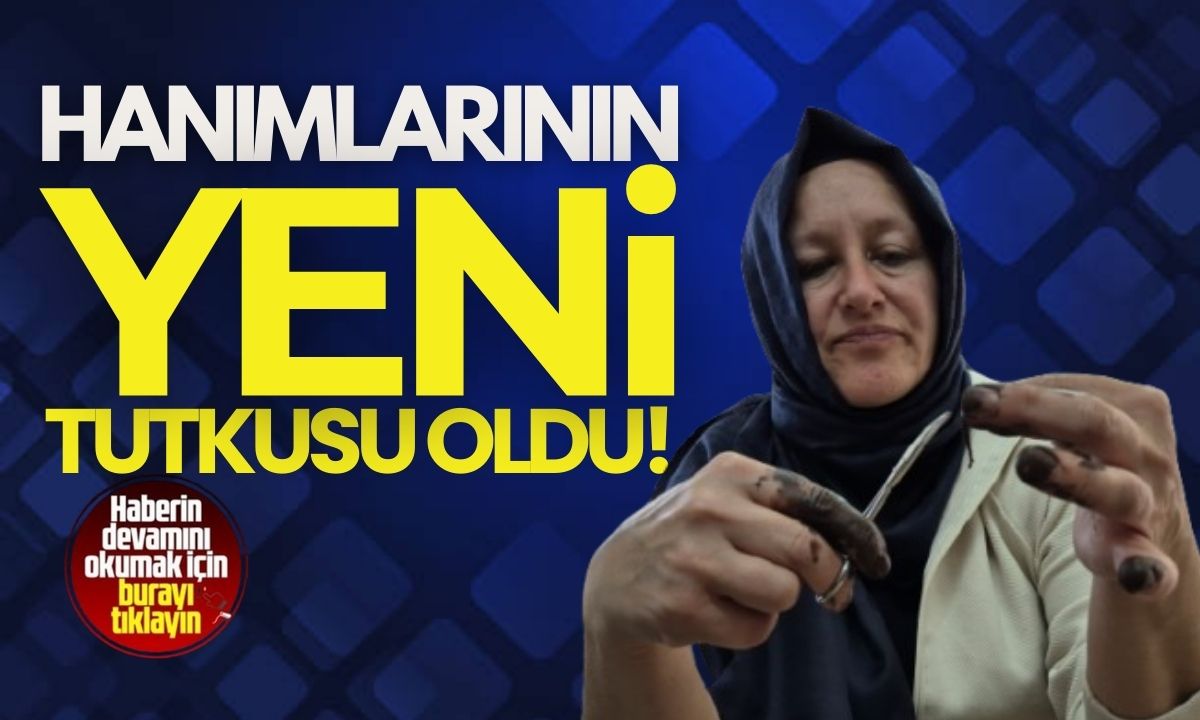 "Emekli olduktan sonra başladım bağımlısı oldum"