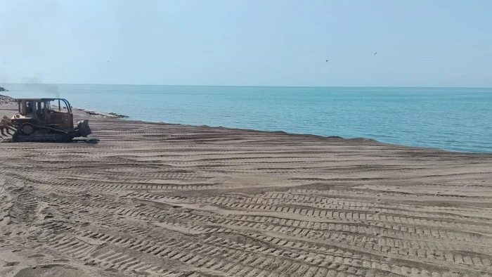 Ölü balık belediye tarafından kaldırıldı